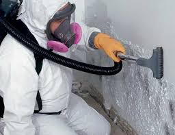 Best Environmental Consulting for Mold Prevention  in Kirby, TX